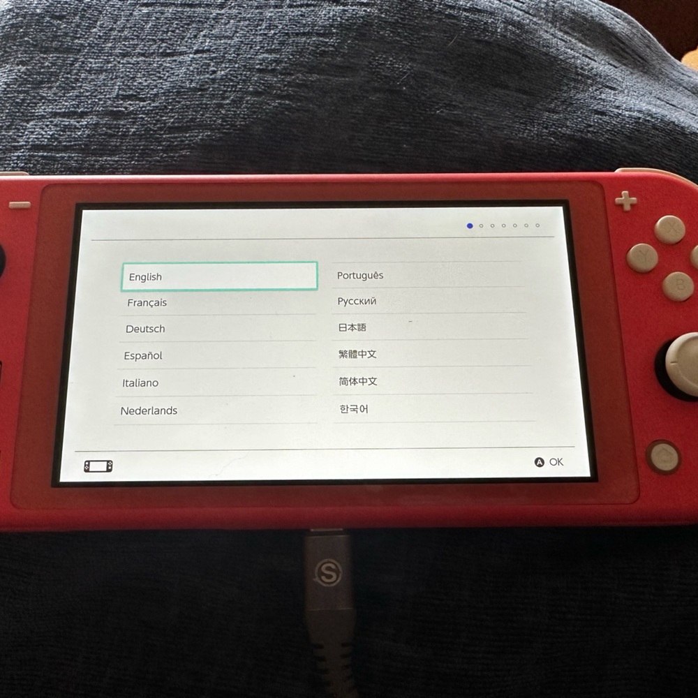 Coral Nintendo switch lite